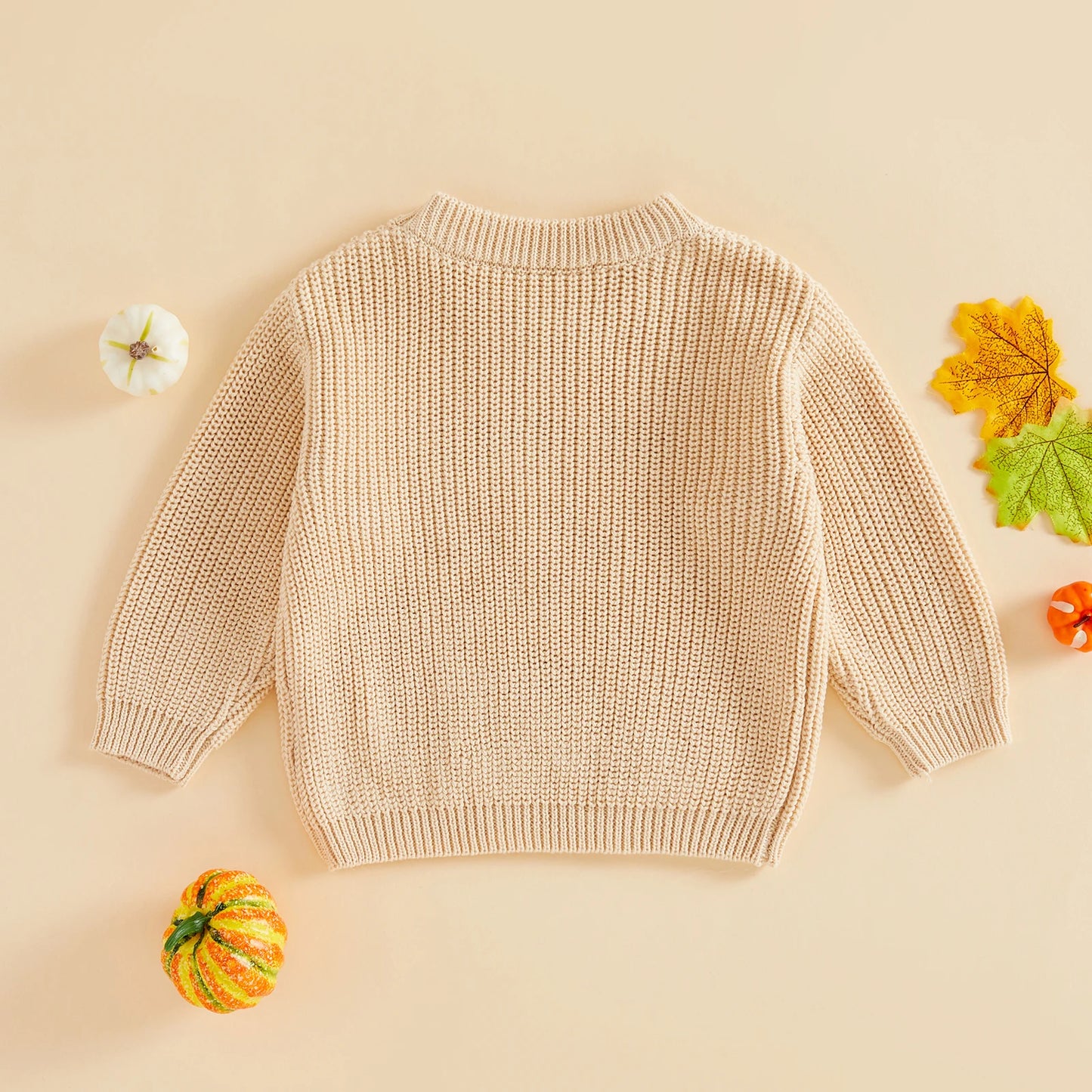 Pumpkin Patch/Ghost Pullover Sweater
