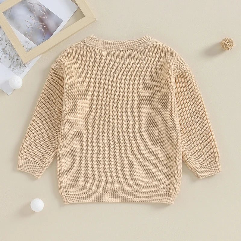 Big Brother Knit Pullover Sweater