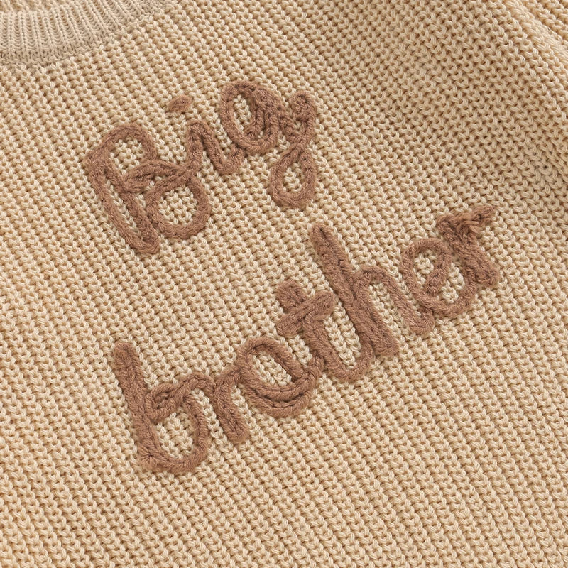 Big Brother Knit Pullover Sweater