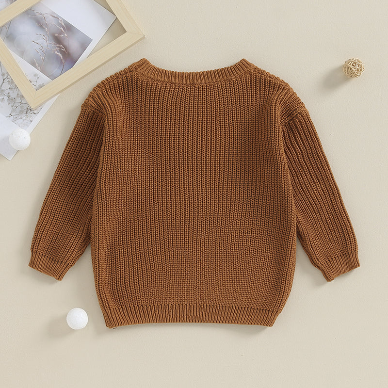 Big Brother Knit Pullover Sweater