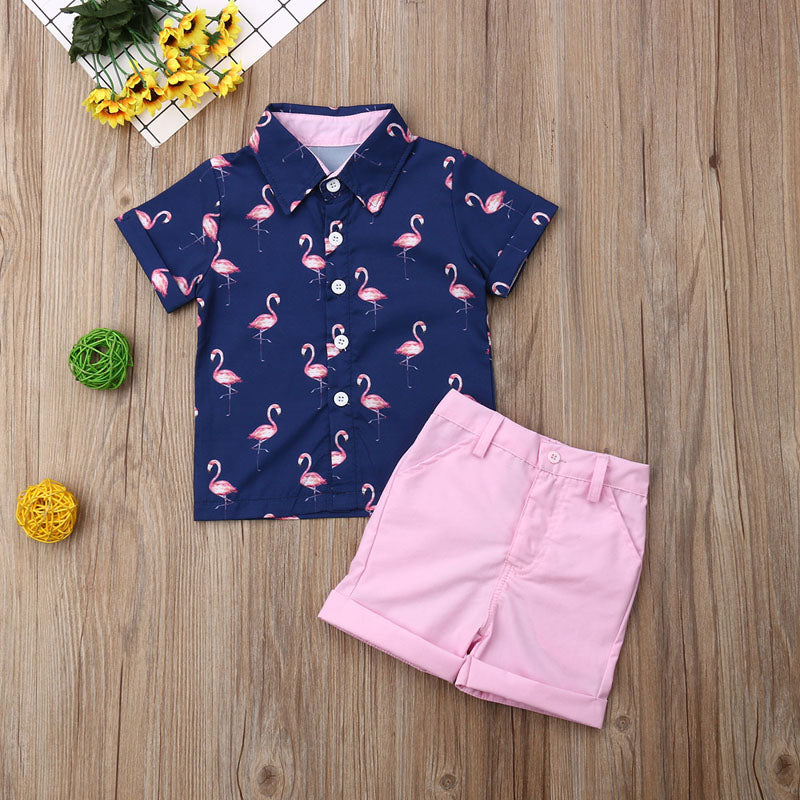 Toddler Boy Pink Flamingo Short Set