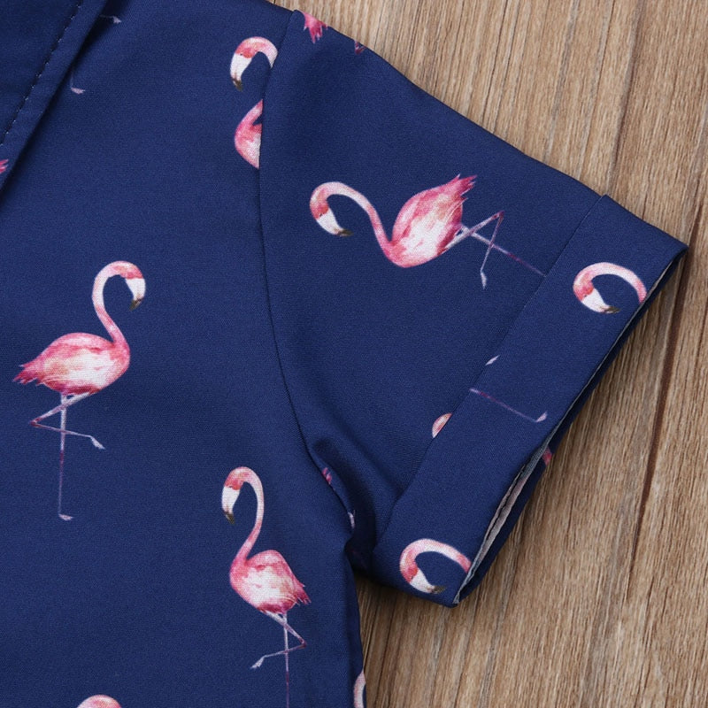 Toddler Boy Pink Flamingo Short Set