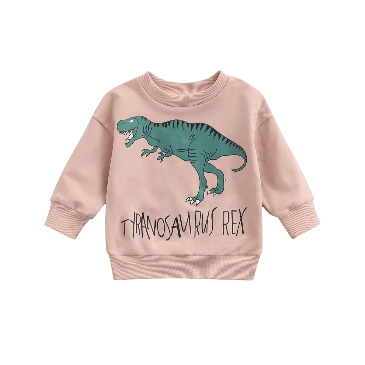Dino Graphic Long-Sleeved Sweatshirt