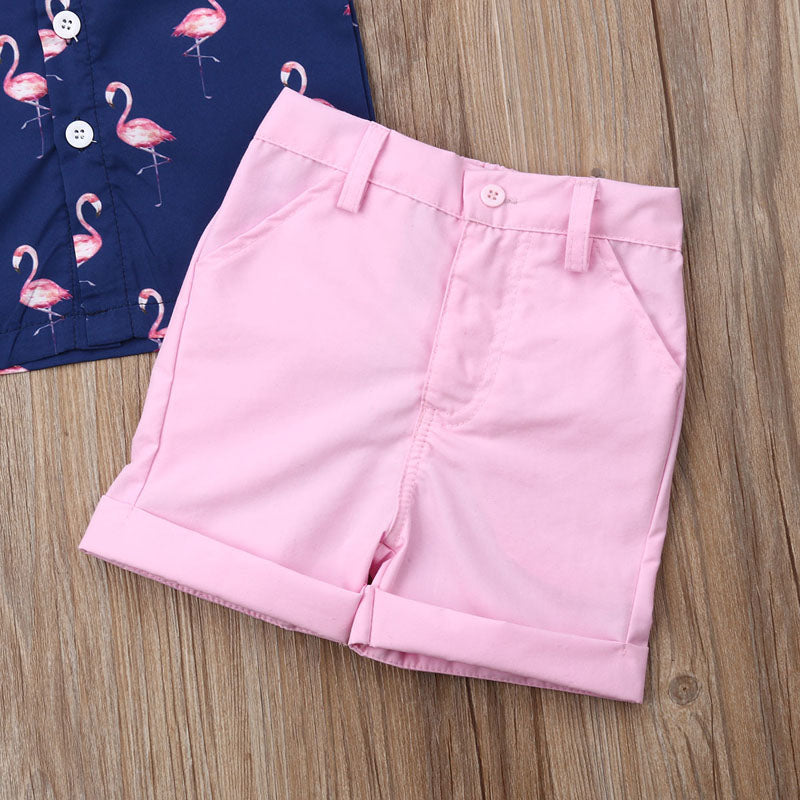 Toddler Boy Pink Flamingo Short Set