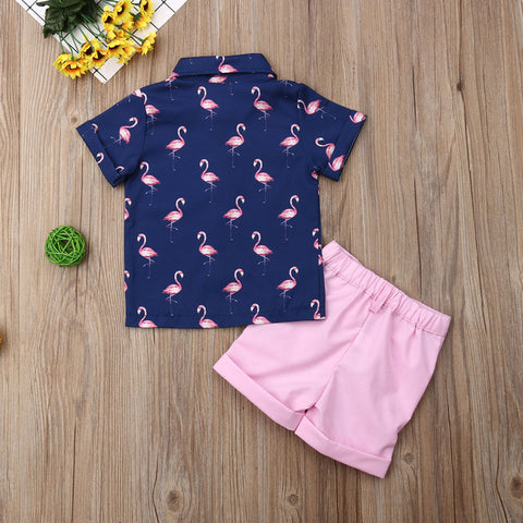 Toddler Boy Pink Flamingo Short Set